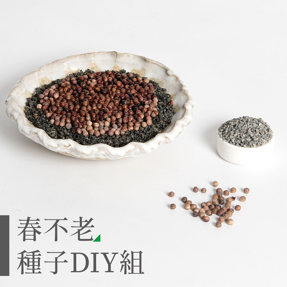 春不老